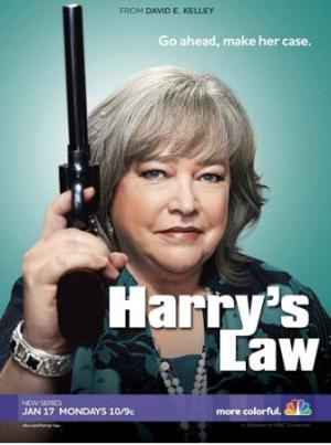 律政俏师太第一至二季/全集Harry's Law 律政俏师太第一至二季/全集Harry's Law